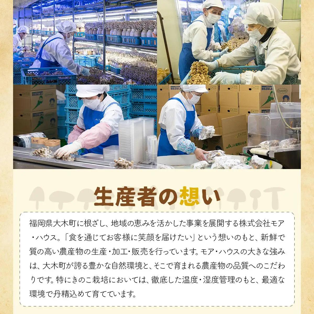 大木町きのこ食べつくしセット　【AZ03】