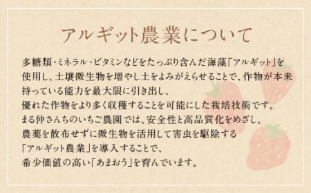 U21-02 アルギット農業「あまおう苺」(4パック) いちご イチゴ あまおう苺 自然農法 フルーツ 果物 福岡県産 福智町産 送料無料 いちご イチゴ あまおう苺 いちご イチゴ あまおう苺 いち