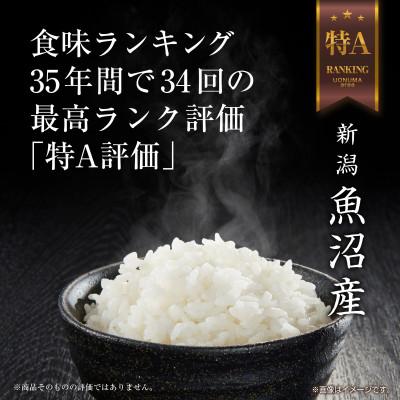 ふるさと納税 十日町市 【無地のし】令和7年産 魚沼産 コシヒカリ 8kg (お米の美味しい炊き方ガイド付き) |  | 01
