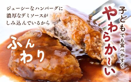 デミグラハンバーグ 180g × 24個 計4.3kg ハンバーグ レンジ 龍ケ崎市