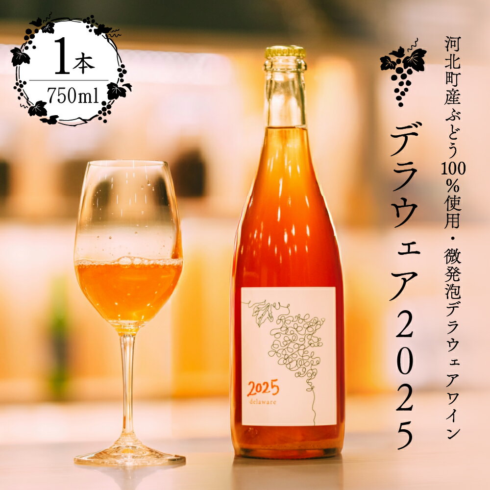 【ふるさと納税】【 河北町産 ぶどう 100％ 使用・ 微発泡 デラウェアワイン 】Delaware 2025 ( 750ml × 1本 ) 【かほくらし社】| 限定醸造 スパークリング ペティアンナチュラルワイン お酒 アルコール 国産 送料無料 山形県 河北町