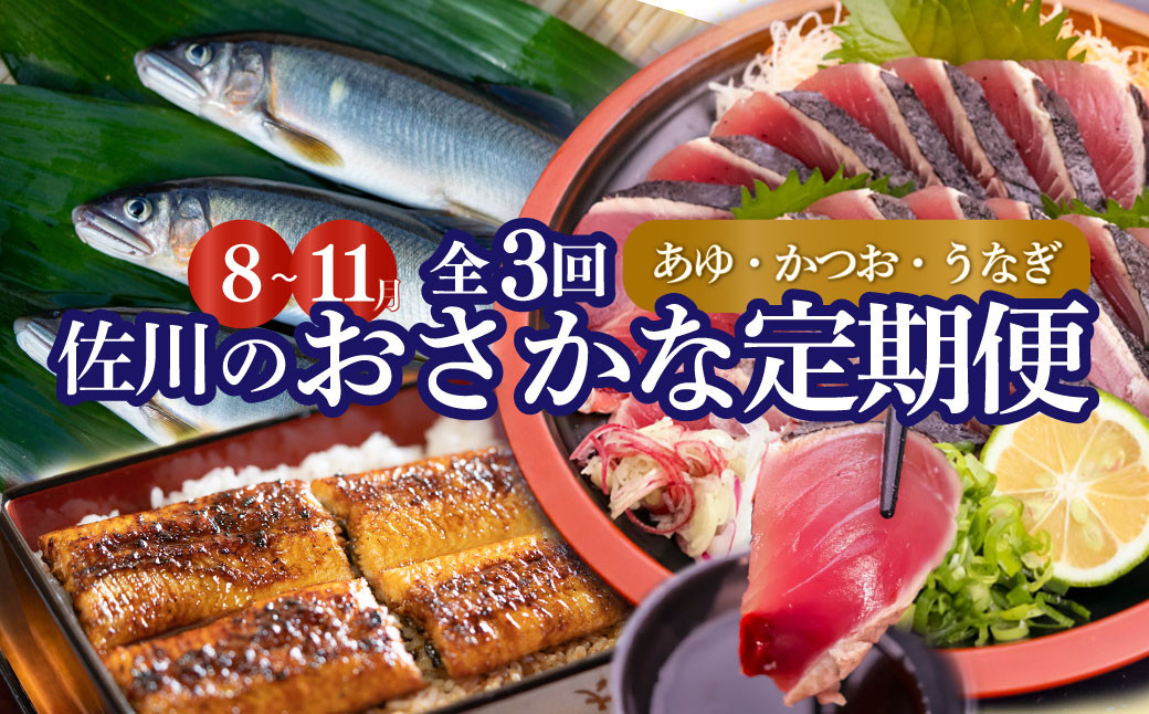 
                  ＜年3回【さかわのお魚定期便（配送月：8月～11月）】＞うなぎ かつおのタタキ 鮎 鰹のタタキ 高知県 大正軒 鮎屋仁淀川 西村商店 かつおのたたき 鰻蒲焼き あゆ　※※配送できない地域があります※※
                