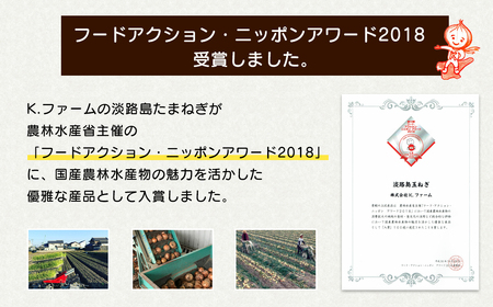 【新たまねぎ】淡路島たまねぎ 大きな2Lサイズ10kg【発送時期：2026年3月下旬～5月頃】　 玉ねぎ 産地直送 甘い 玉ねぎ 