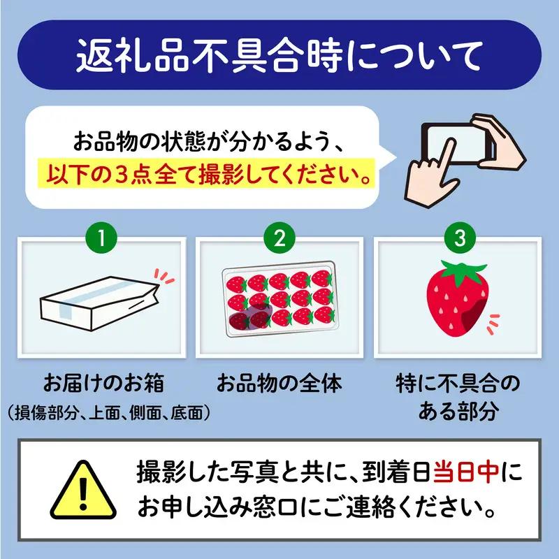 いちご 全3回定期便 やよい姫約920g いちご