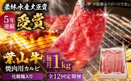 【全12回定期便】 葉山牛 焼肉用カルビ1Kg  / 牛肉 牛 肉 お肉 国産 赤身肉 やきにく 焼き肉 カルビ かるび BBQ ブランド牛 和牛 黒毛和牛 国産牛 贈答 ギフト 冷凍 葉山 定期 定期便 【有限会社葉山旭屋牛肉店】 [ASAP043]