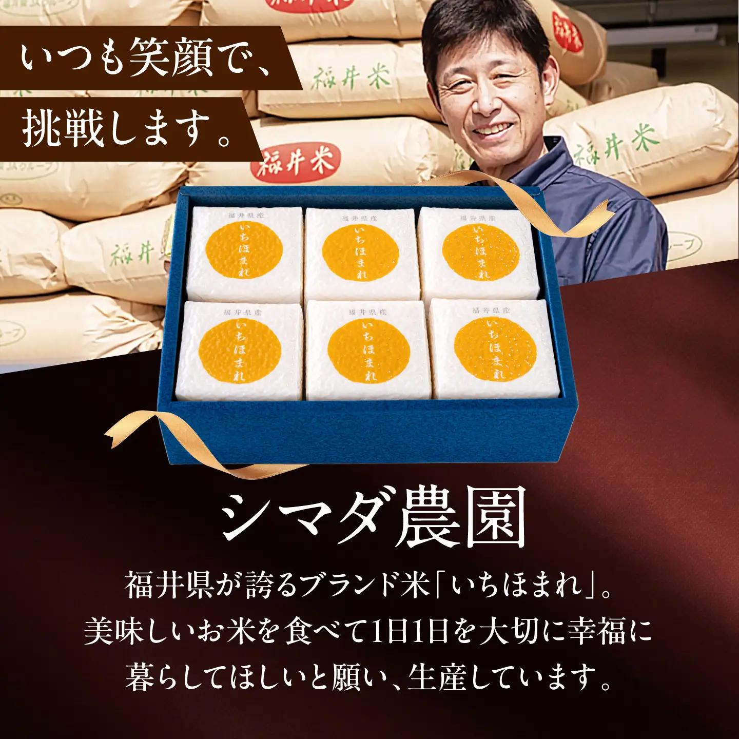 福井県産いちほまれ 真空キューブ ギフト 2合×6パック (300g×6パック)[BFAV026]