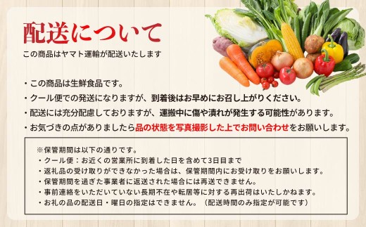 季節の野菜 詰め合わせセット 12ヶ月定期便 | 野菜セット 新鮮 旬野菜 朝どれ 農家直送 旬 野菜 鮮度 赤城山麓 群馬野菜 国産野菜 詰め合わせ 野菜詰合せ おまかせ野菜 野菜便 お取り寄せ 産直野菜 ゆうあい館 JA 群馬県 前橋市