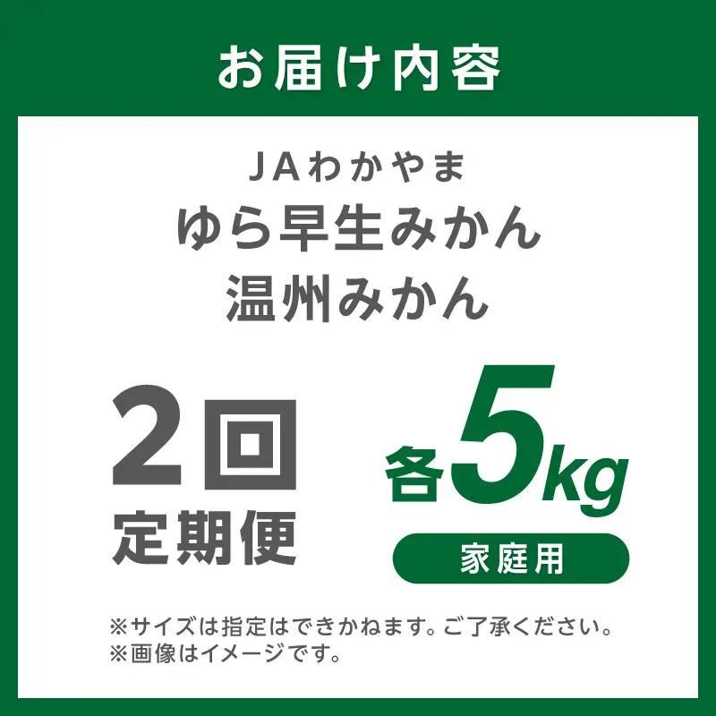 【2回定期便】JAわかやま 紀州のゆら早生･温州みかん【8077】