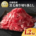 【ふるさと納税】※レビューキャンペーン※宮崎県産黒毛和牛切り落とし 1.2kg 送料無料 肉 牛肉 国産 黒毛和牛 ミヤチク セット 宮崎県 川南町 F0618