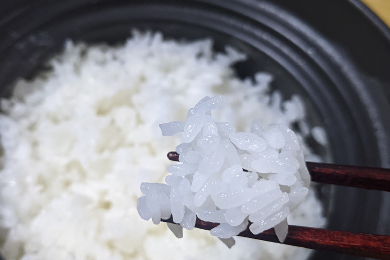 【令和7年産】正直米（特秀）2kg 特別栽培米 【おいしい おこめ 米 お米 精米 こしひかり コシヒカリ コンテスト 受賞 五つ星マイスター 特別米 2kg 5kg】(BC201)