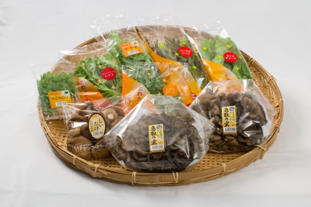 鳥取の宝 舞茸 2株 しいたけ 300g 野菜 7袋 セット 氷温熟成  | 106M まいたけ きのこ キノコ 椎茸 産地直送