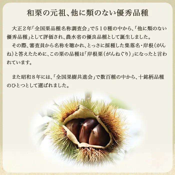 岩国がんね栗「栗のカケラ」70g×3箱【がんね栗の里】