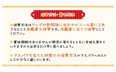 ＜早期予約・数量限定＞北海道ニセコ町 アスパラMサイズ1kg【2026年産】【3200101】