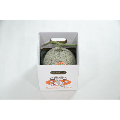 【ふるさと納税】【先行予約　2026年発送】赤肉メロン　1.6kg×1玉【1695338】