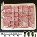 【ふるさと納税】A5ランク飛騨牛焼き肉用500g(ロース又は肩ロース)【配送不可地域：離島】【1307430】