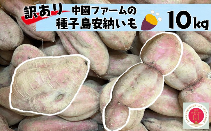 
            訳あり 中園ファーム 種子島 安納いも ( 生芋 ) 10kg　NFN459【300pt】// 安納芋 安納いも発祥の地 本場・安納地域産 糖度 熟成期間 G.I 保護制度 ブランド 金賞 生いも 芋 いも さつまいも 
          