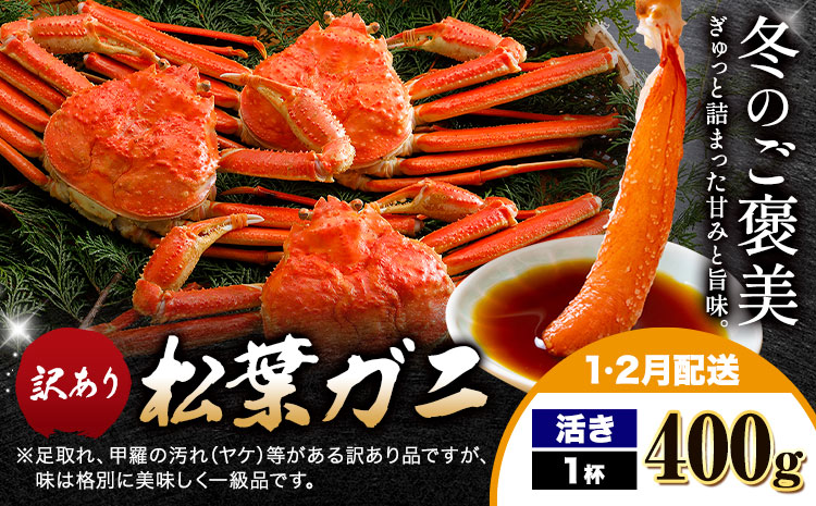 【ふるさと納税】カニ 松葉ガニ 訳あり 400g 活き 1杯《1月・2月発送》 SOO合同会社 鳥取県 八頭町 送料無料  蟹 かに 姿 鍋 ズワイガニ  ズワイ蟹 ボイル 松葉ガニ 訳アリ