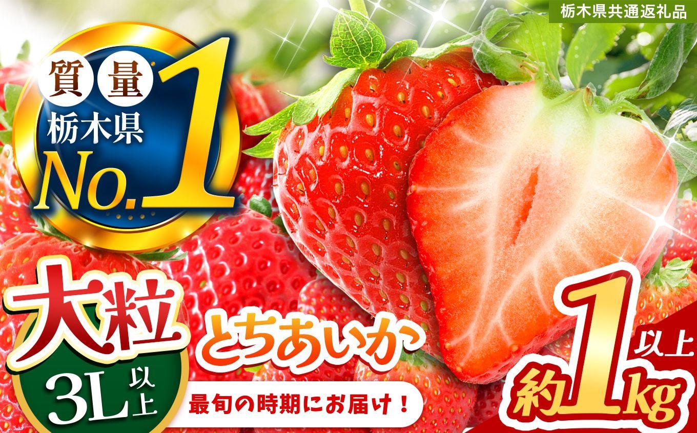 いちご 2L以上 大粒 とちあいか1kg以上【2027年先行予約】 | 苺 イチゴ 栃木県共通返礼品