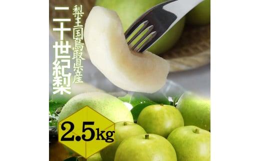 鳥取県産 二十世紀梨2.5kg 訳あり【フォーシーズン】 312011_ES010