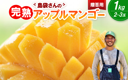 【2026年7月上旬から順次発送・贈答用】島袋さんの完熟アップルマンゴー 1kg(2～3玉)【配送不可地域：離島】