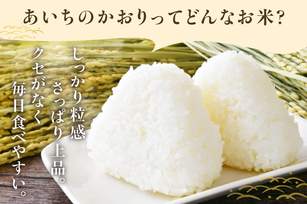 【無洗米】東浦町産　あいちのかおり　約10kg（5kg×2袋）│産地直送 愛知県産 東浦町 10kg