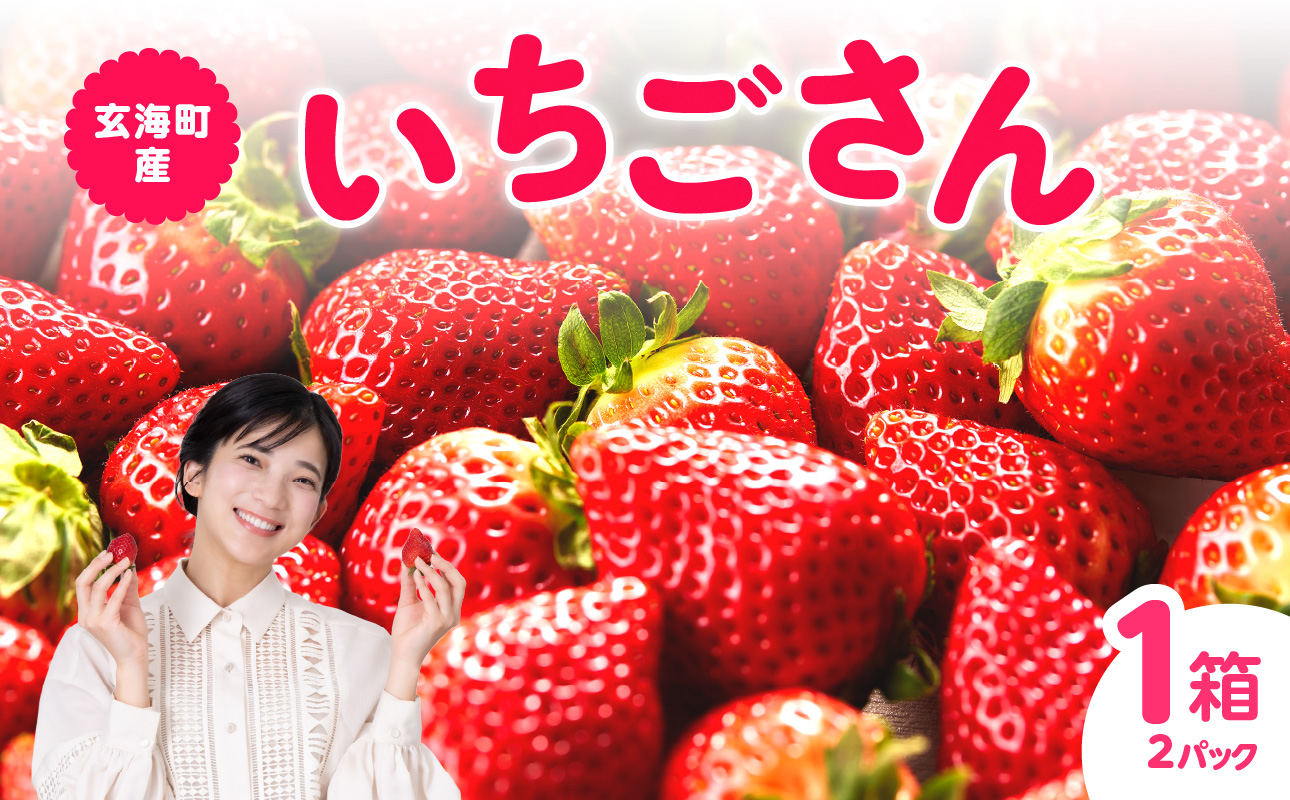 ★予約受付★平川いちご農園 佐賀県玄海町産いちご「いちごさん」12月〜5月順次配送