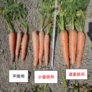 堆肥 5L (2.5kg) 肥料 堆肥 みみず