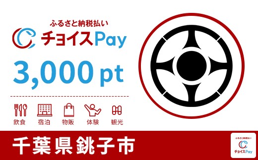 
            銚子市チョイスPay 3,000pt【会員限定のお礼の品】
          