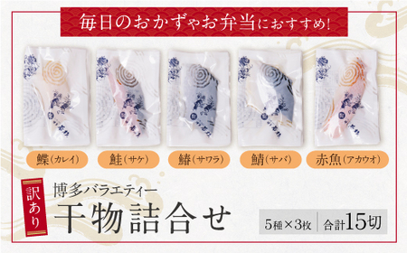 Y61-79 博多バラエティ― 干物詰合せ 15切 干物