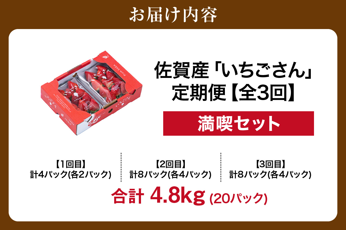 佐賀産「いちごさん」定期便 満喫セット【全3回】　999-B868
