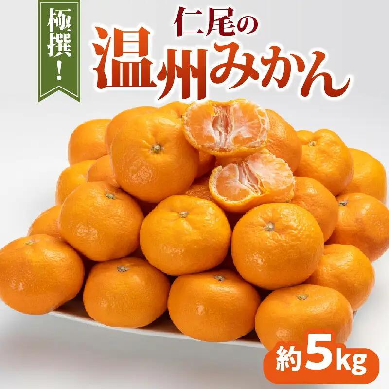 【ふるさと納税】極撰!仁尾の温州みかん(約5kg)