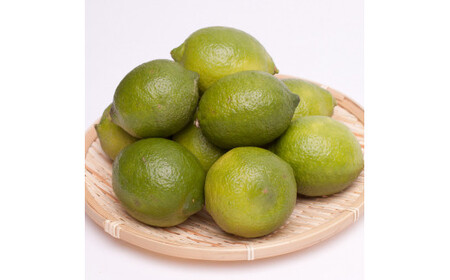 厳選 黒潮レモン2.5kg+75g（傷み補償分）【和歌山有田産】【防腐剤・WAX不使用、安心の国産レモン】 ※北海道・沖縄・離島への配送不可 /レモン れもん 柑橘 フルーツ 果物 果実 【ikd13