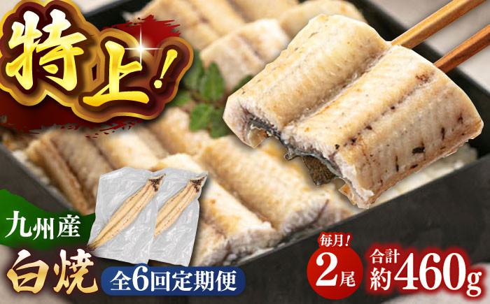 
            全6回定期便 鹿児島産うなぎ 白焼2尾セット ▼国産 鰻 ウナギ 白焼き 特大 本格 有頭 海鮮  定期便  桂川町/山水商事 [ADAH016]
          