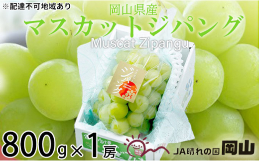 ぶどう 2025年 先行予約 マスカット ジパング 約800g×1房 ブドウ 葡萄  岡山県産 国産 フルーツ 果物 ギフト