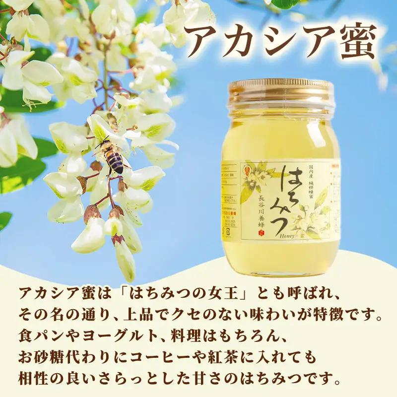 蜂蜜 アカシア 1kg 三重県産 蜂蜜 2026年採集