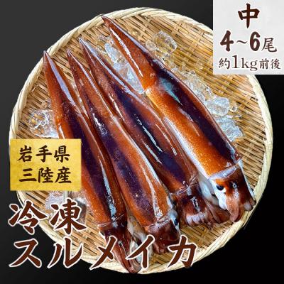 ふるさと納税 普代村 冷凍スルメイカ 約1kg 真空パックでお届け!
