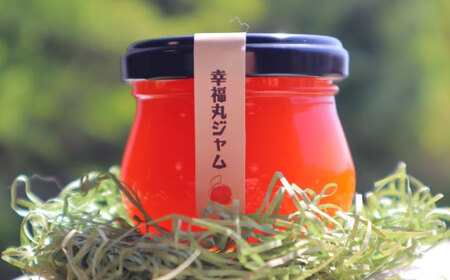 瀬戸内あんずセット（瀬戸内あんずジャム1個＋瀬戸内あんずゼリー3個）あんず　杏　幸福丸　ゼリー　ジャム　セット　瀬戸内　杏ゼリー　洋菓子　スイーツ　お菓子　広島県福山市/たかはし農園[BAGS001]