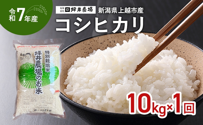 
            【10月上旬より順次出荷】令和7年産 新潟県 上越市産 コシヒカリ 10kg 精米
          
