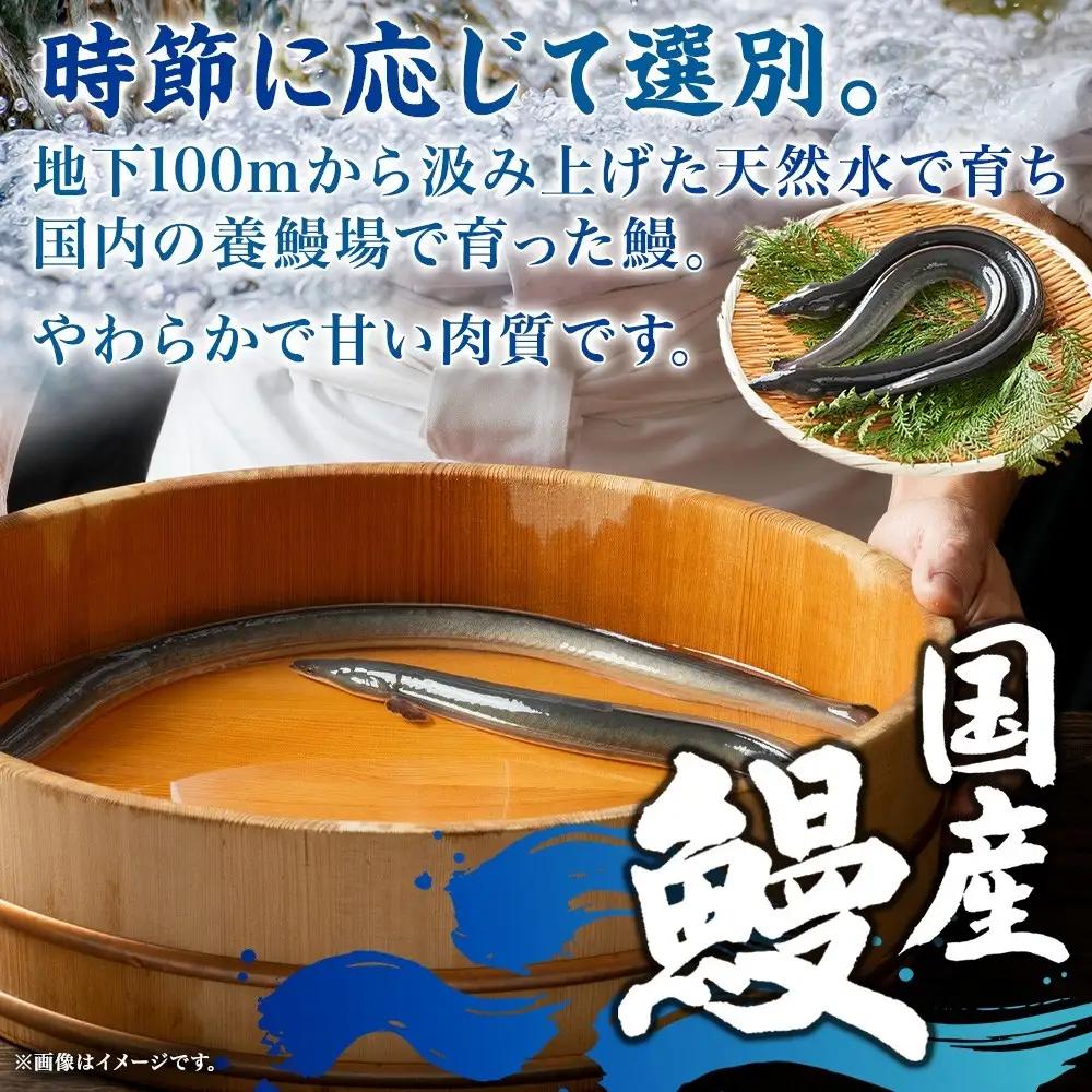 名古屋 うなぎのしら河 国産 鰻 ひつまぶし倶楽部１人前 蒲焼き 120g 土用の丑 国産 うなぎ 名物 櫃まぶし  お茶漬け ギフト お取り寄せ グルメ 愛知県 名古屋市