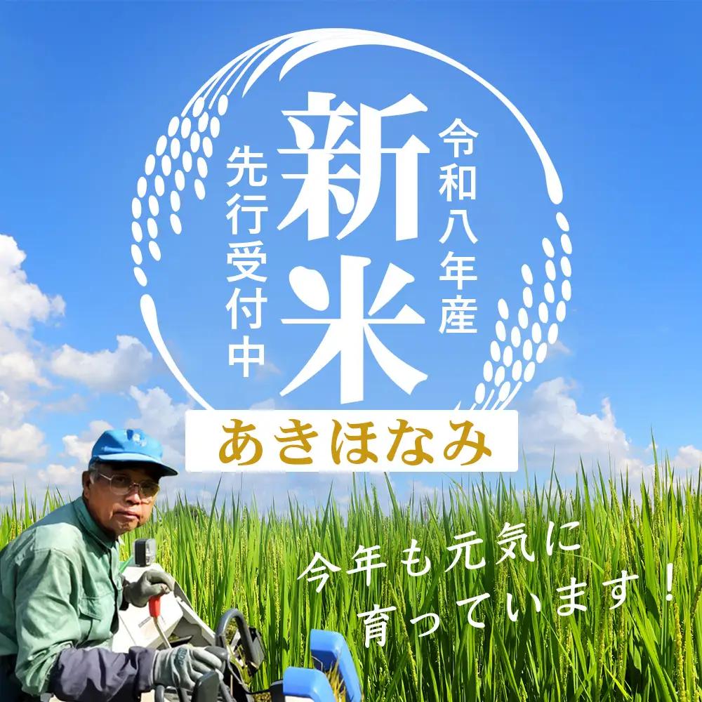 【令和8年産 新米！】《先行予約》 令和8年産 あきほなみ5kg 南大隅町 辺塚産 ID-4｜2026年産 主食 鹿児島県 南大隅 白米 米 こめ コメ 5キロ ご飯 大自然のお米 国産 産地直送 送