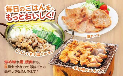 【古今東北】 丸森町大槻ファーム 豚肉5種類セット(計1.2kg）