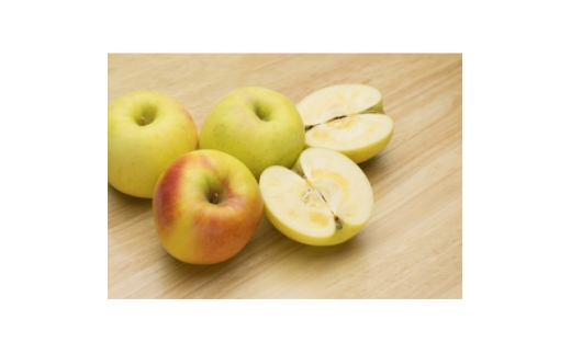 ＜2026年発送＞＜家庭用＞甘みが強い　長野県産 りんご　ぐんま名月　約10kg(20～30玉程度)【1686963】