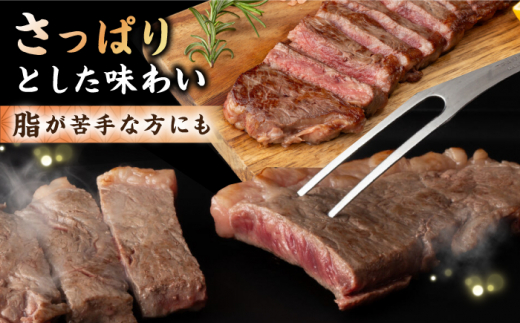 サーロイン ステーキ 500g（2～3枚） 長崎県産黒毛和牛＜宮本畜産＞ [CFA025] 長崎 西海 和牛 黒毛和牛 ステーキ  牛肉 サーロインステーキ 贈答 ギフト