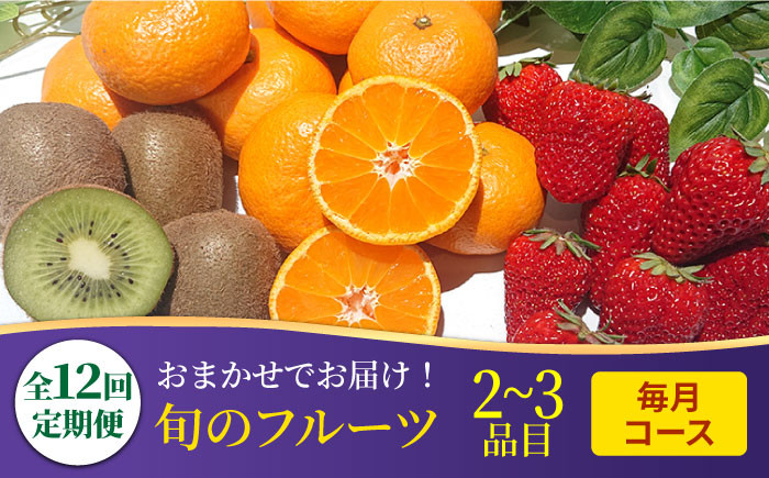 
            【12回定期便】フルーツ定期便 旬の果物をお任せで2～3品目お届け（2～3品目×12回）季節の果物 詰め合わせ 果物 セット / 定期便 フルーツ 果物 春フルーツ 夏フルーツ 秋フルーツ 冬フルーツ /  南島原市 / 吉岡青果 [SCZ014]
          