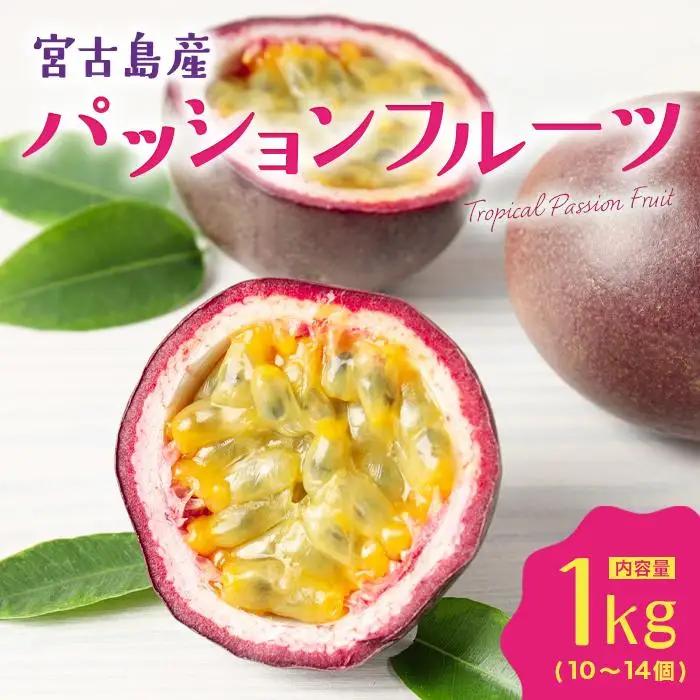 エキゾチックな味わい！宮古島産パッションフルーツ（1kg）(JJ008)