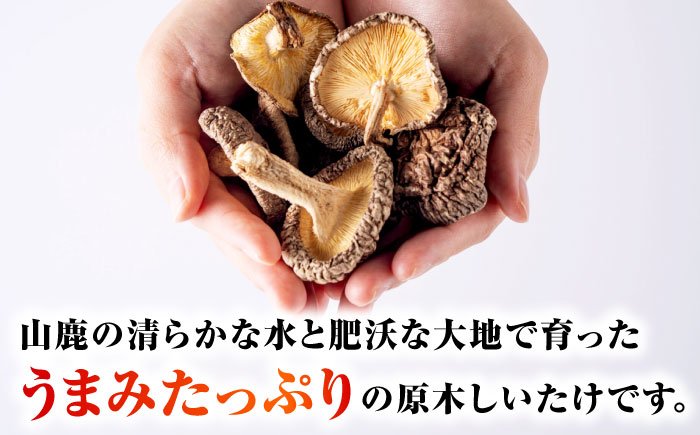 原木 干ししいたけ 大袋240ｇ（120ｇ×2袋） 【すみれファーム】 [ZEP069]