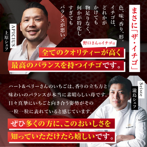 栃木県産 完熟とちあいか 540g（270g×2p）　栃木県 下野市 送料無料