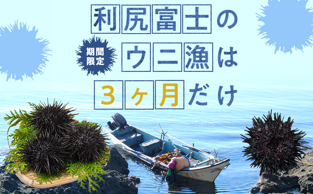 【2027年7月発送】キタムラサキウニ 100g (100g×1パック) ＜利尻漁業協同組合＞