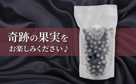 冷凍アロニア 500g 2パック 1kg 冷凍アロニア
