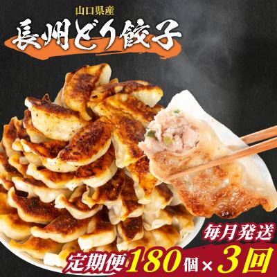ふるさと納税 下関市 訳あり 長州どり餃子 3回 毎月 定期便 180個 12個×15パック 冷凍 小分け IB042